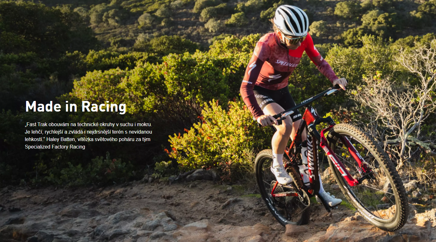 Snímek obrazovky 2025-03-07 154536